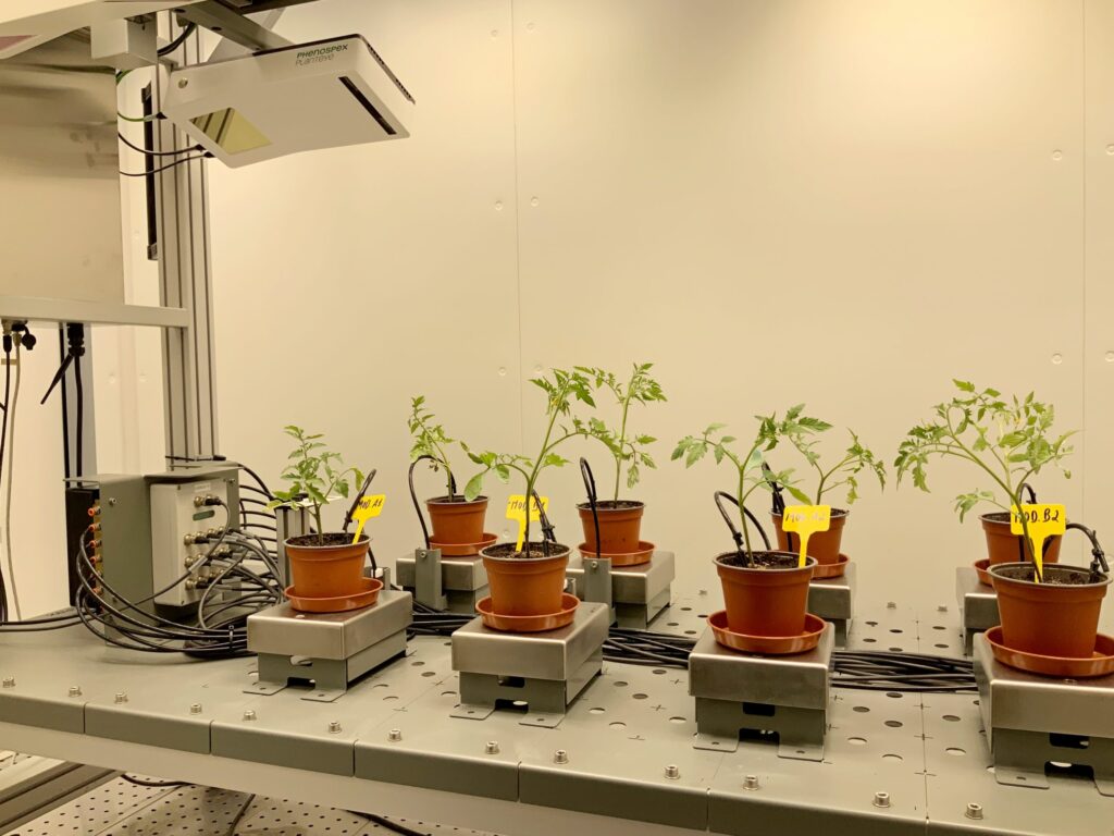 Aralab Plant Room Phenotyping