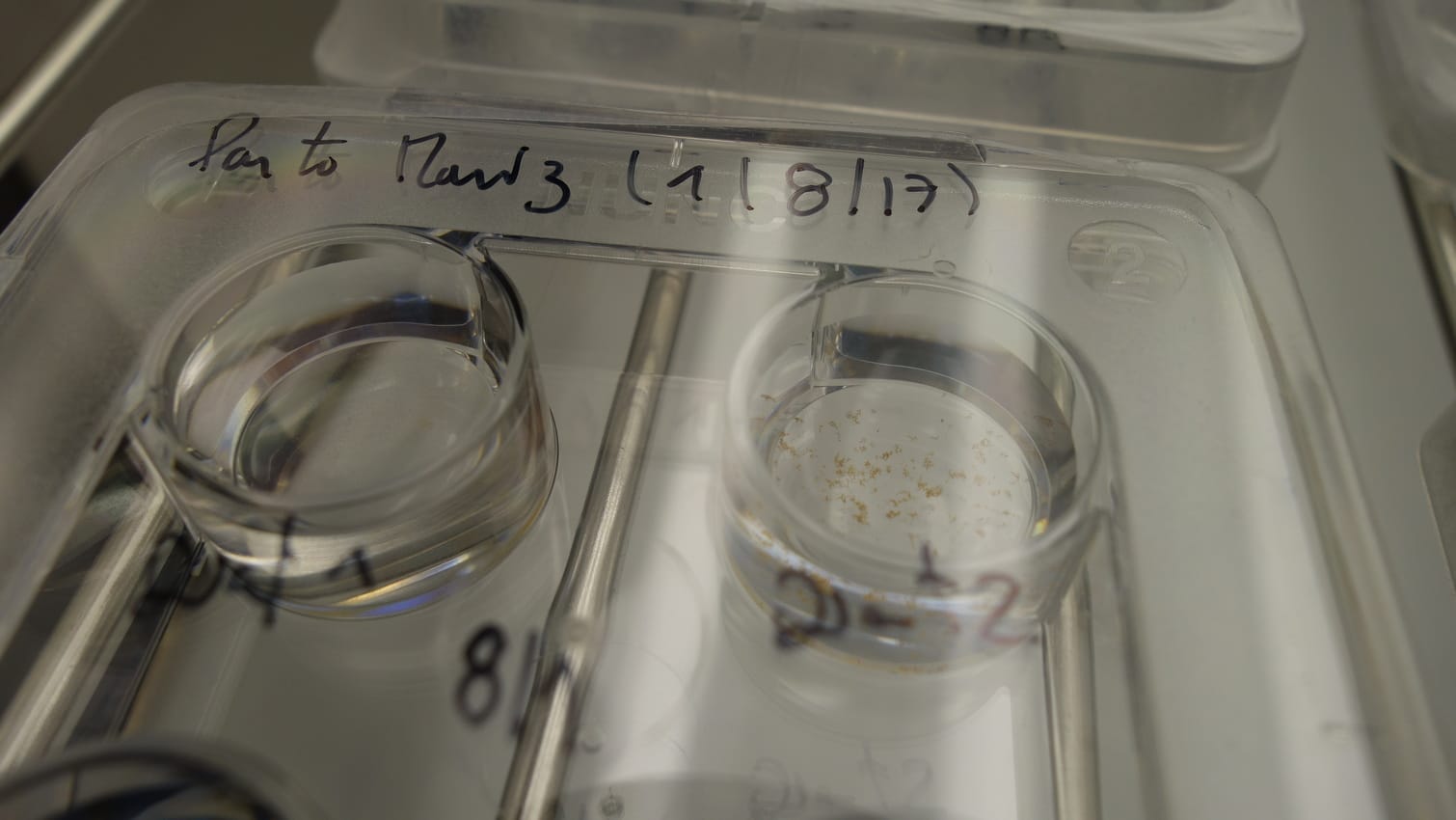 Aralab-environmental-growth-chamber-Microalgae-incubation-phytoplankton-research-7