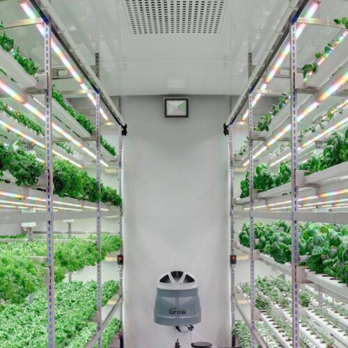 batch_PROJ1-Indoor-Vertical-Farming-Aralab-Plant-Factory-1-500x500