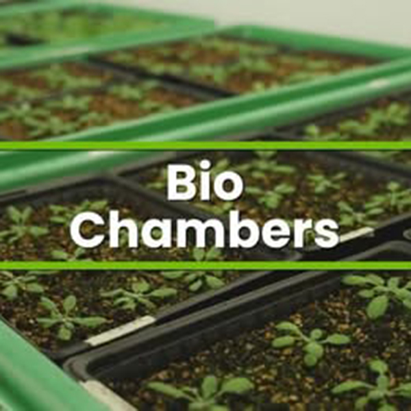 Discover Aralab: Precision, Growth & Testing Chambers for Science and Industry!