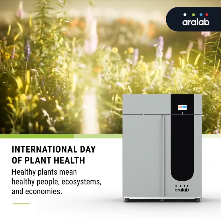 Growing a Healthier Future—International Day of Plant Health